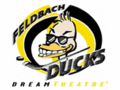 Logo EC Feldbach Ducks: EC Feldbach Ducks