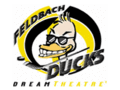 Logo Feldbach Ducks: Feldbach Ducks