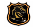 Logo Golden Mustangs: Golden Mustangs
