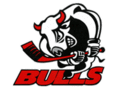 Logo EC Bulls Weiz: EC Bulls Weiz