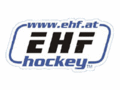 Logo Team EHF: Team EHF
