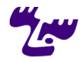 Logo Weltmooseter: Weltmooseter