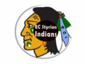 Logo EC Styrian Indians: EC Styrian Indians