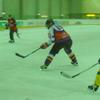 klick mich für mittlere ansicht panthers_vs_frogs_2008_11: (© )