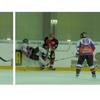 klick mich für mittlere ansicht panthers_vs_frogs_2008_23: (© )