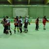 klick mich für mittlere ansicht panthers_vs_frogs_2008_38: (© )