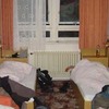 klick mich für mittlere ansicht Hradec Kralove TL 2004 pic12: (© )