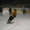 klick mich für mittlere ansicht Hradec Kralove TL 2004 pic18: (© )