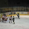 klick mich für mittlere ansicht Hradec Kralove TL 2004 pic27: (© )