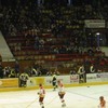 klick mich für mittlere ansicht Hradec Kralove TL 2004 pic28: (© )