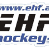 Logo Team EHF: Team EHF (&copy )